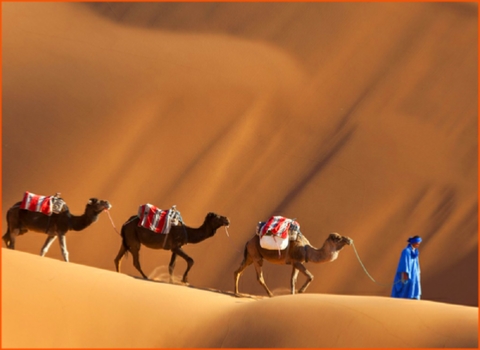 private tour from Fes to Merzouga desert,guided camel ride in Morocco