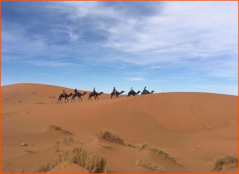 private tour from Fes to Merzouga desert and Marrakech,guided camel ride in Morocco