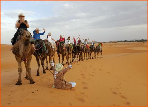 private tour from Casablanca in Morocco, Imperial cities tour