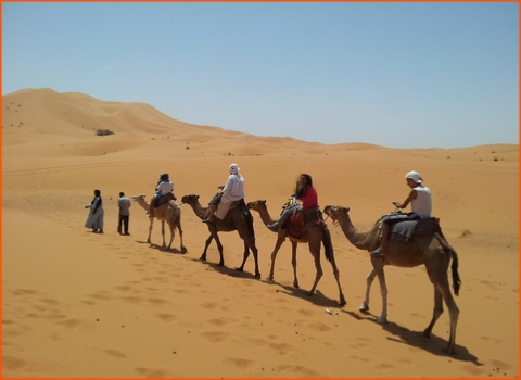 private tour from Casablanca in Morocco, Imperial cities tour