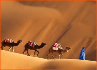 private tour from Fes to Merzouga desert,guided camel ride in Morocco