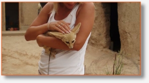 Tours Morocco Trips - Private Morocco desert Tours