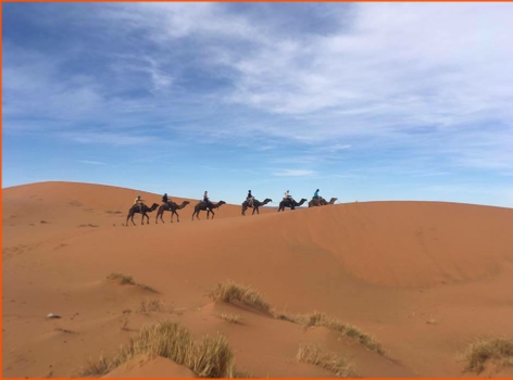 private tour from Fes to Merzouga desert and Marrakech,guided camel ride in Morocco