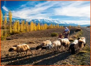 private tour from Fes to Merzouga desert and Marrakech,guided camel ride in Morocco