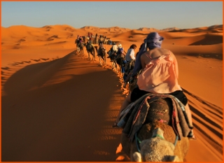 New Year tour in Merzouga and camel ride , New Year tour from Marrakech