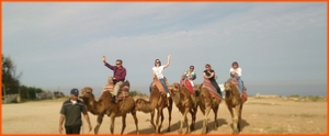 Marrakech 2 days trip to Zagora desert,2 Days Zagora camel trekking tour