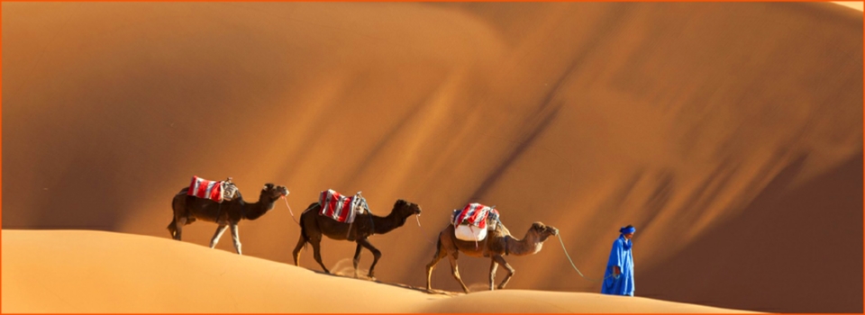 private tour from Fes to Merzouga desert,guided camel ride in Morocco