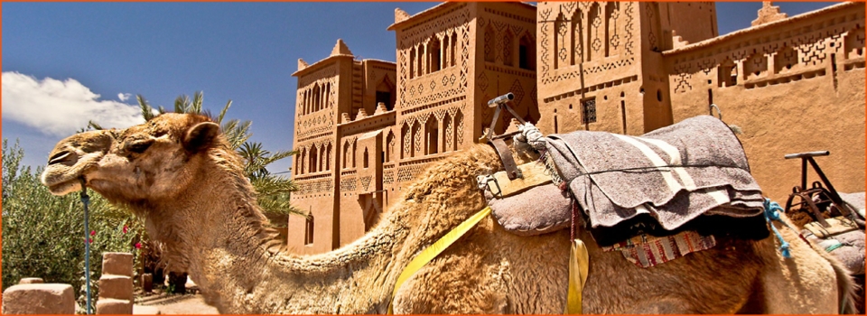 private tour from Marrakech in Morocco to desert in Merzouga